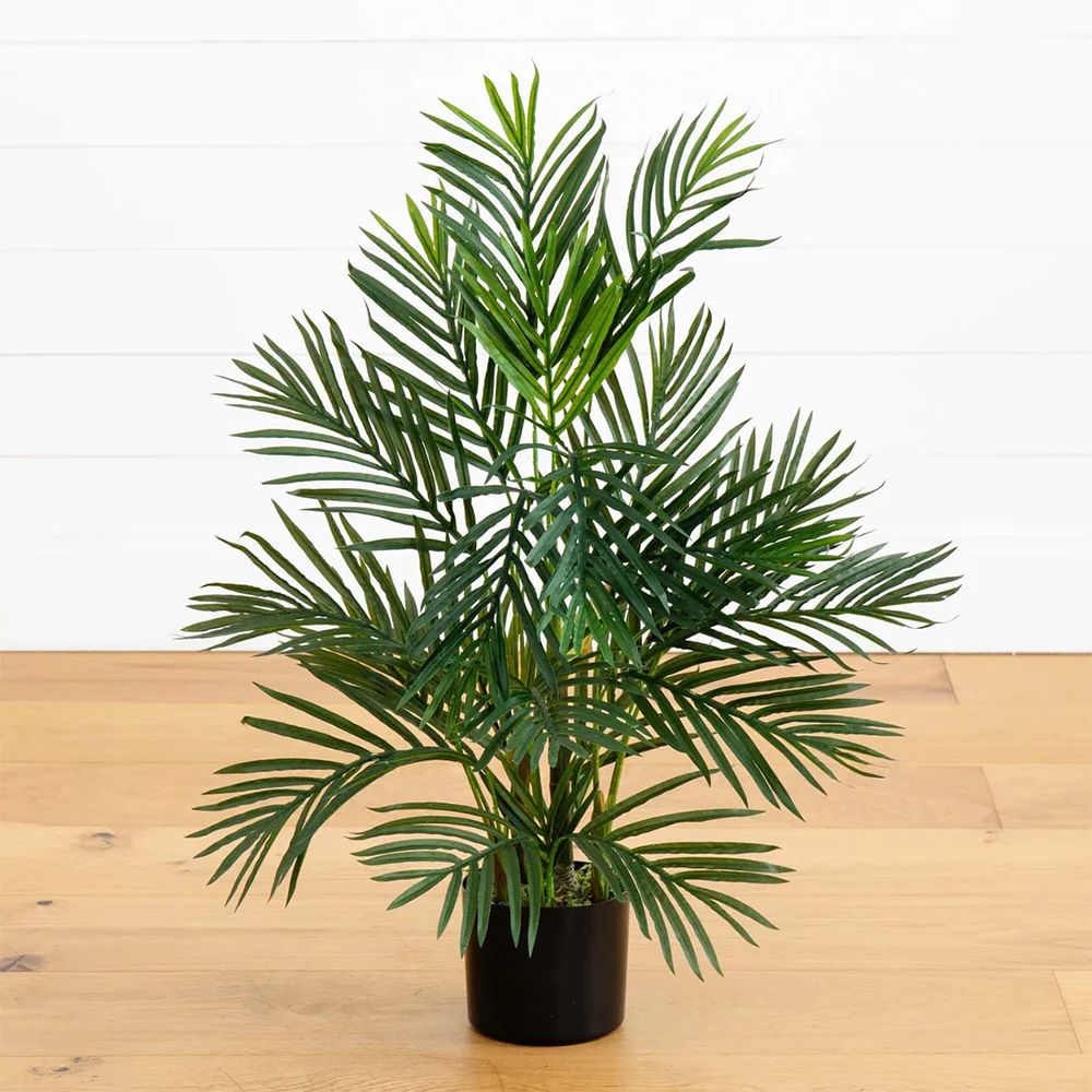 2.5 ft. Breeze Grove Palm - Image 2