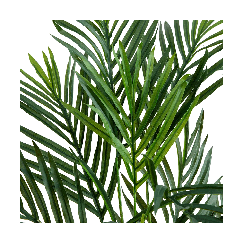 2.5 ft. Breeze Grove Palm - Image 3