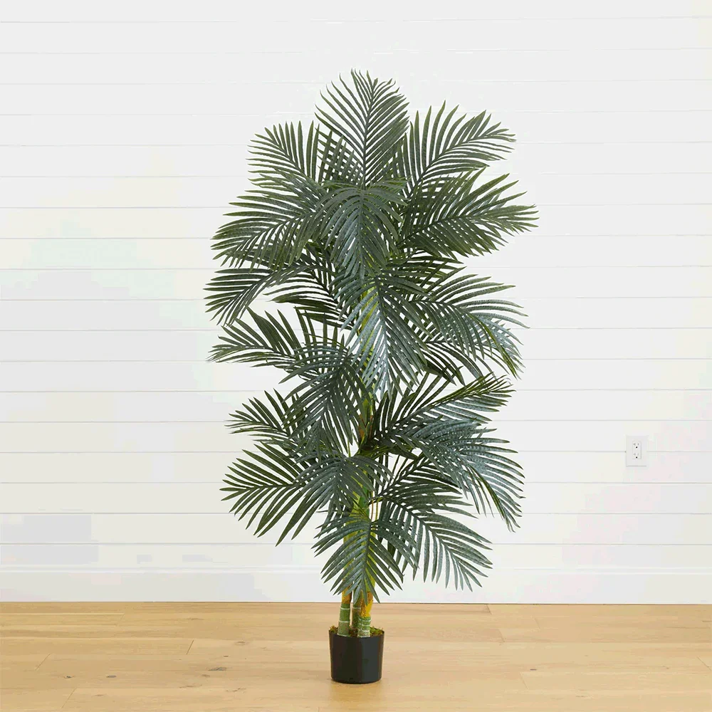 6.5 ft. Suncrest Palm Tree - Image 4