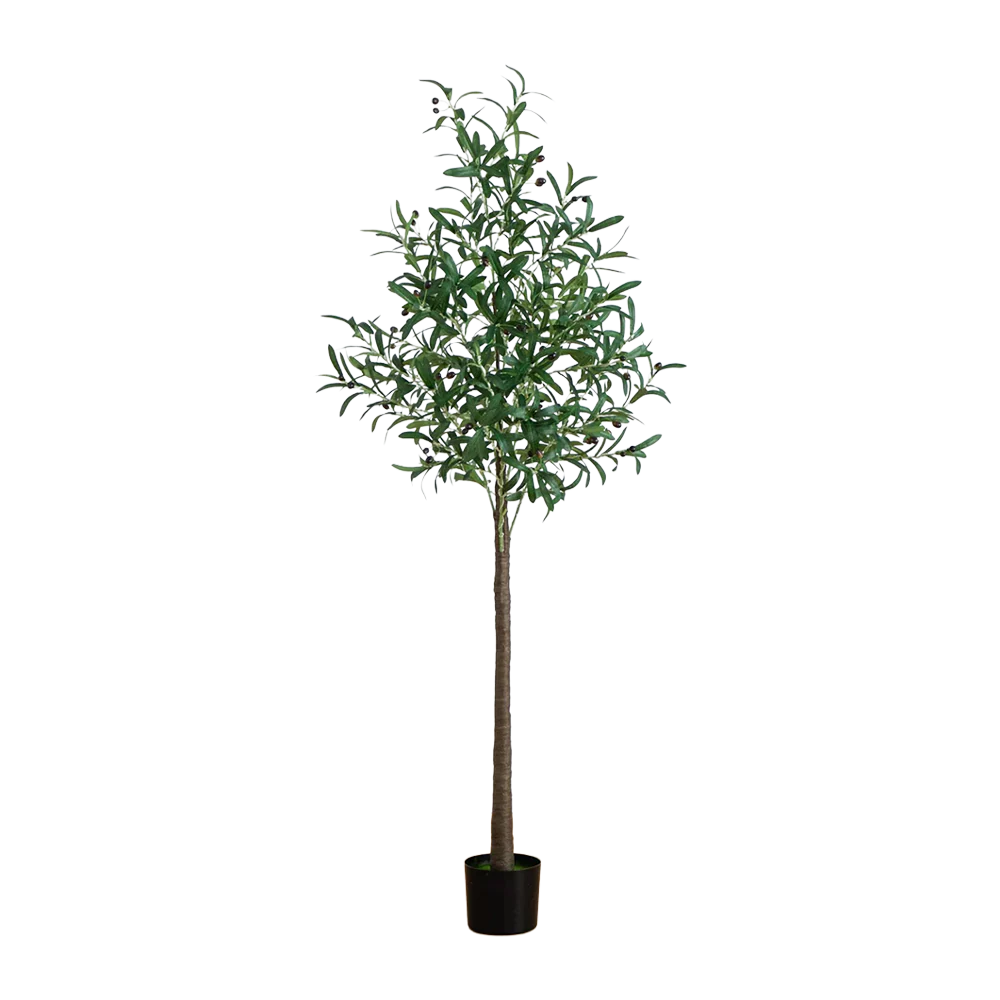 6 ft. Lumiere Olive