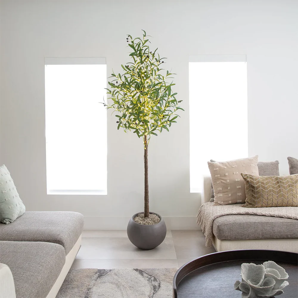 6 ft. Lumiere Olive - Image 2