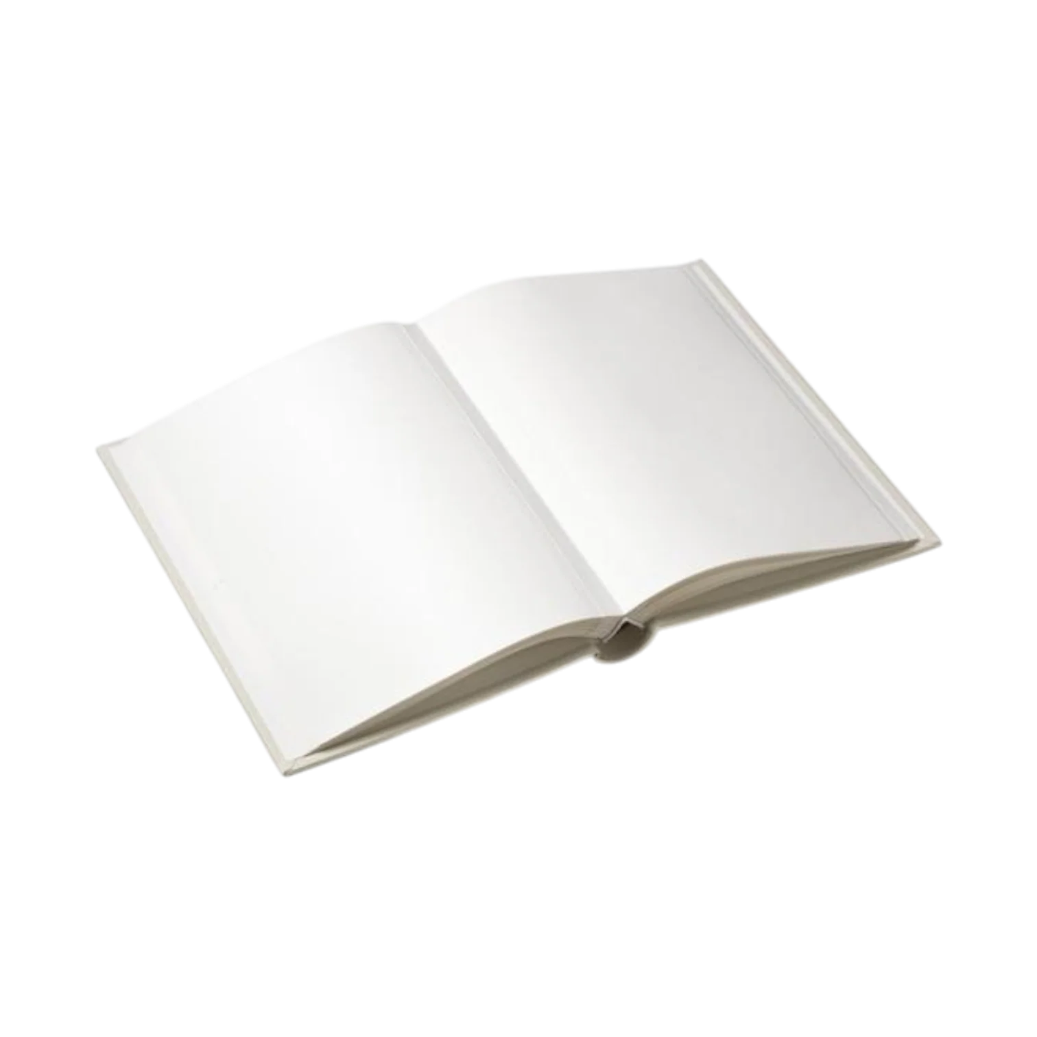 Wedding Album Photo - Image 6