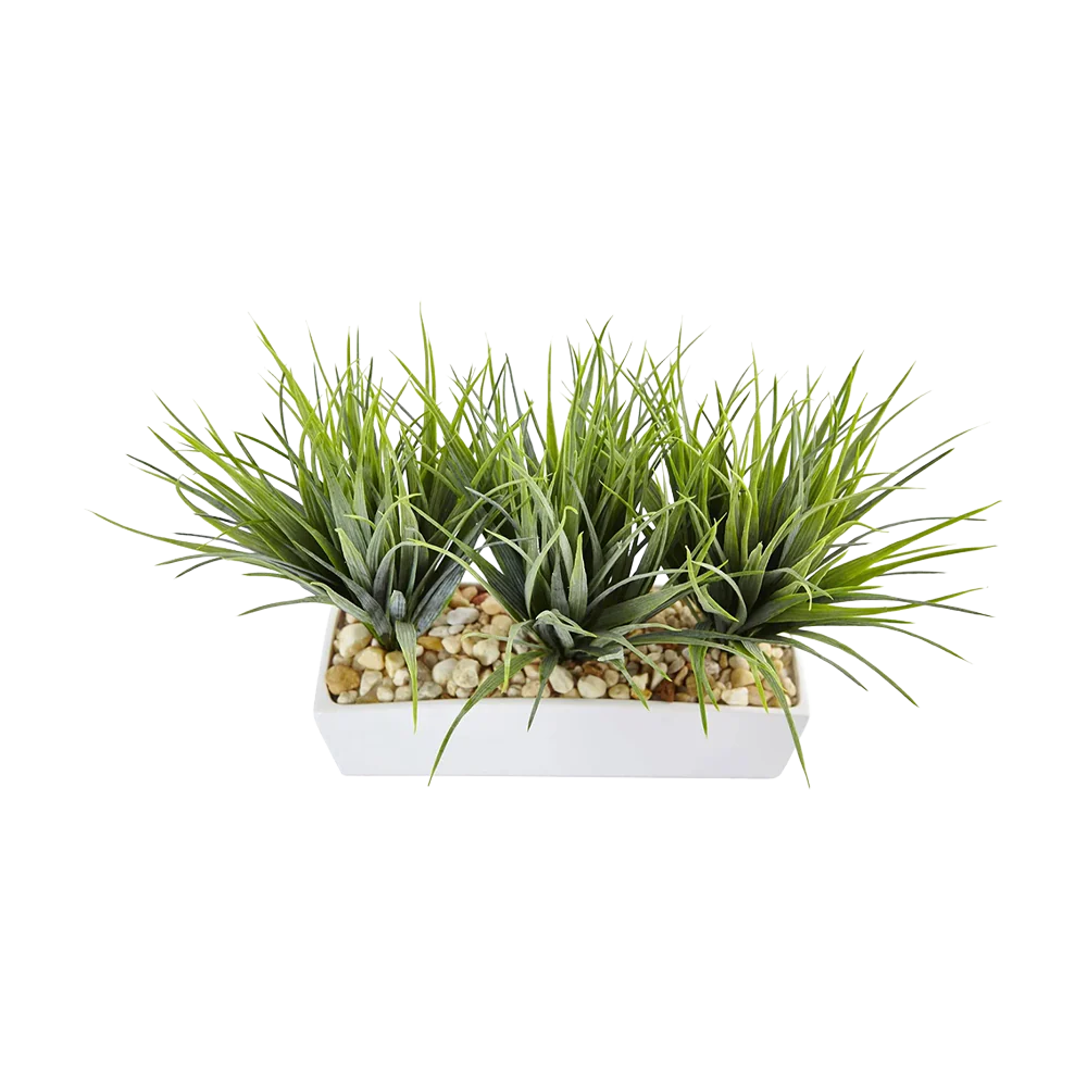 Linear Grass - Image 2