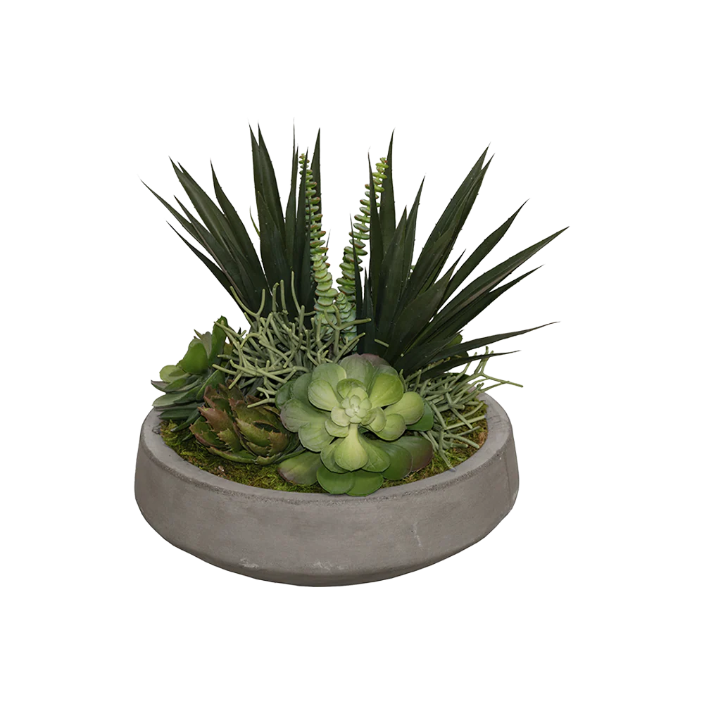 Meurice Arrangement