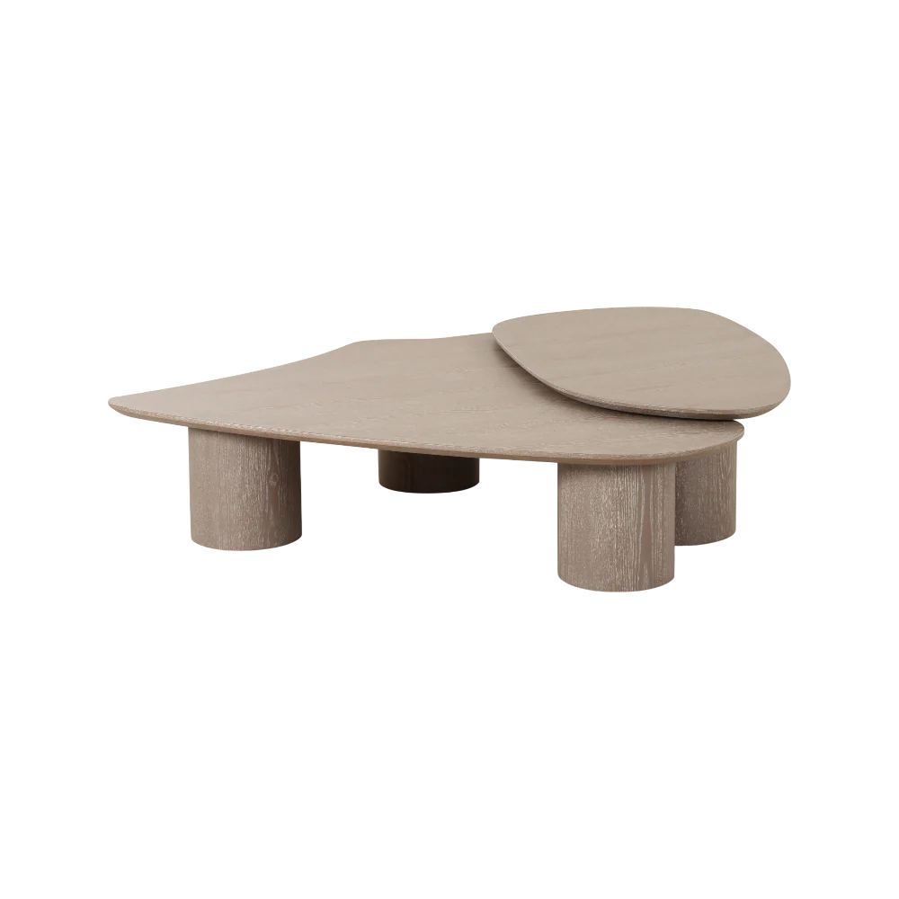 Vesta 2 Piece Washed Ash Nesting Coffee Table Set - Image 3